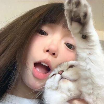 功夫兔与菜包狗第一季